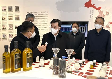 喜讯 | 中国首个油橄榄产业创新联合体在陇南成立！ - 企业新闻 - 新闻中心 - 联合体,油橄榄,产业,创新,南市,陇南,成立,中国