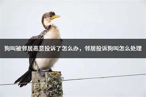 本想“曝光”邻居不讲理，一不小心成了“我”侵权_北京日报网