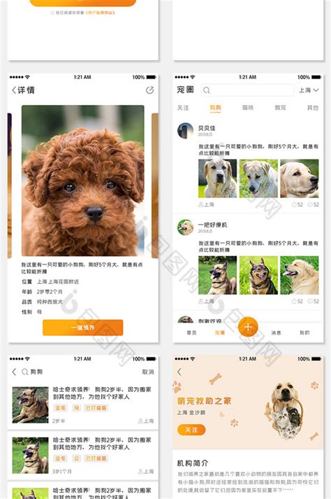Cpet宠物云领养app|UI|APP界面|泠一 - 原创作品 - 站酷 (ZCOOL)