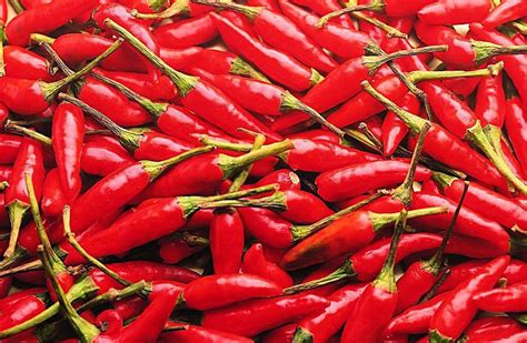 辣椒的辣度以什么为标准,衡量辣椒辣度的计量单位 - 闪电鸟