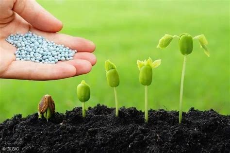 农业部：国家将大力推进生物有机肥产业发展_化肥