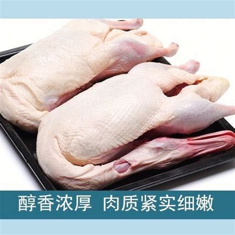 【肉食HA】鲜白条鸭约2.5斤/只