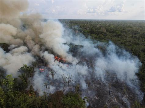 亚马逊雨林火灾频现 巴西总统称是非政府组织放火_手机新浪网