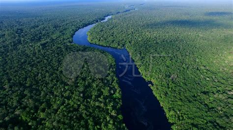 亚马逊雨林号称是人类禁区，步步惊心充满危机，真是这样吗？ - 知乎