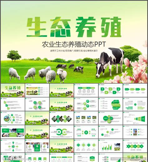 在非瘟面前，中国养猪业最大的资源就是家庭农场 - 猪好多网