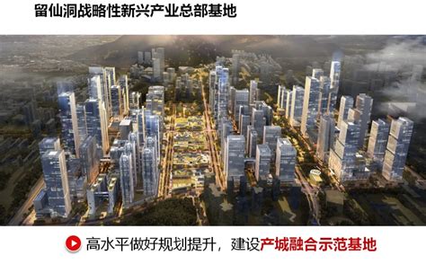 南山加快建成世界级创新型滨海中心城区！_深圳新闻网