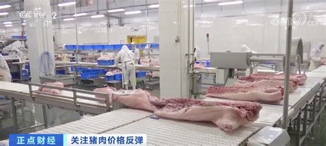 猪肉价格一个月每公斤涨近7元 为何猪肉价格不降反增？_中国网