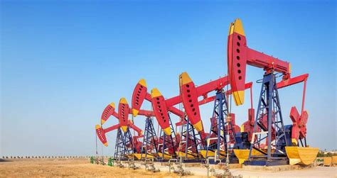 买家如云：聚焦2023新疆石油化工展，四大油田组团参观 - 中国网客户端
