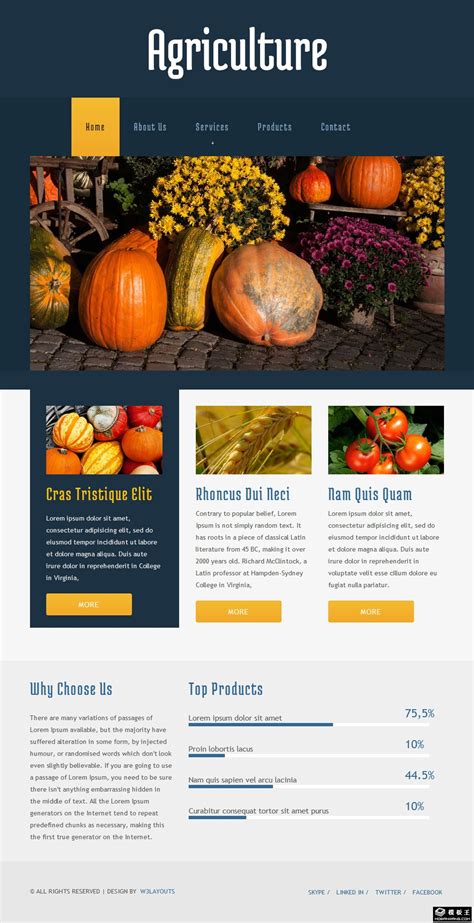 农业网页模板，农产品网站模板免费下载 - 模板王