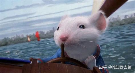 《精灵鼠小弟》——小白鼠当孩子、做兄弟，这真是个简单美好的世界 - 知乎