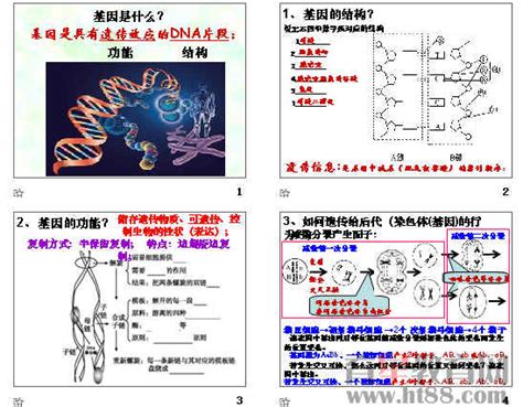 高中生物思维导图——基因突变及其他变异_深圳学而思1对1