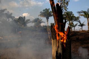 亚马逊大火点燃巴西政治危机 总统下台呼声四起-国际环保在线