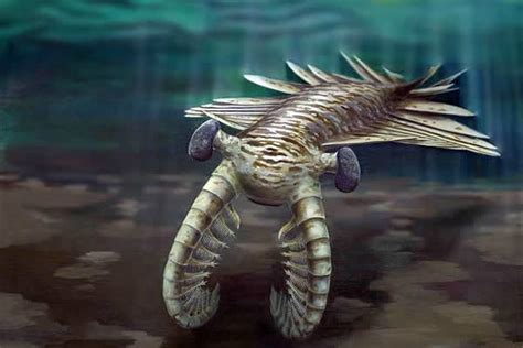 5种恐怖的史前海洋巨兽, 如果活到今天, 它们就是世界的霸主!