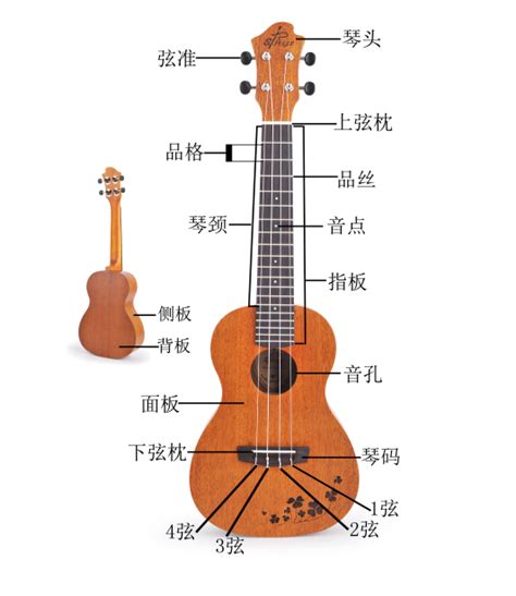 尤克里里教程精选，ukulele基础教程与技巧大全-尤克里里专题 - 乐器学习网
