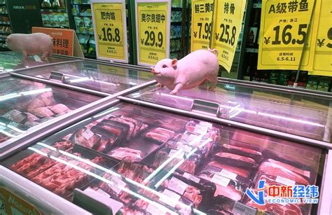 读创--北京新发地猪肉批发大厅重开 禁止进口肉类冻品销售