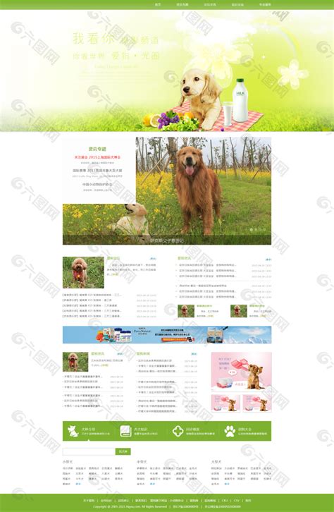 宠物网站网页UI素材免费下载(图片编号:5013060)-六图网