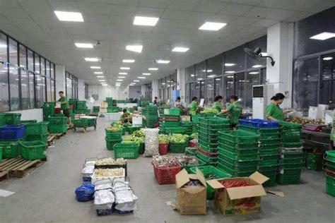 学校“面向采购”农产品直供基地蔬菜配送到食堂-安徽理工大学总务部（后勤网）