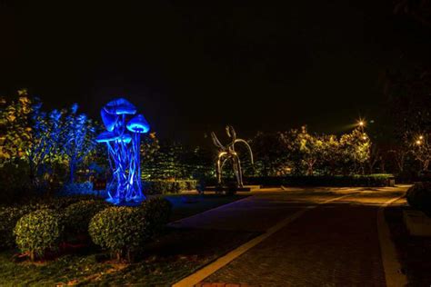 雕塑公园的灯光创作-湖南烁光照明工程有限公司