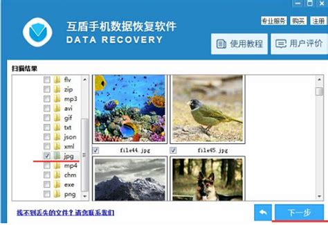已删除的照片可以恢复吗 已删除的照片怎么找回-EasyRecovery易恢复中文官网