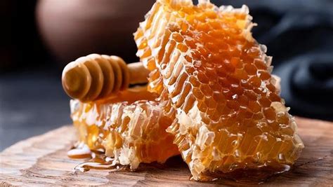 蜂蜜是怎样酿成的_指尖头条_发现_指尖探索 · 科学