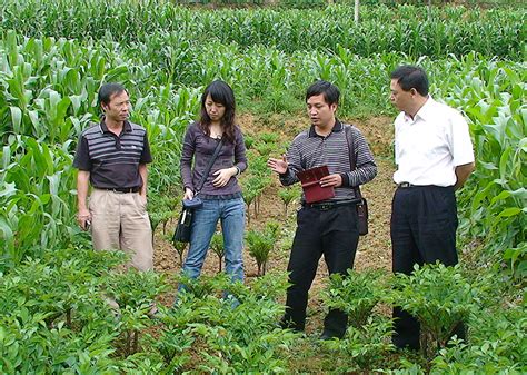 我校2011年百亿斤粮食增产计划昭通技术推广组到鲁甸县开展技术培训-云南农业大学 新闻网