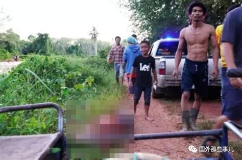 泰国3人水坝戏水溺水后获救，下水救人的夫妻俩却双双溺亡