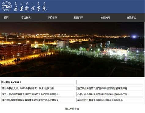 中国依安智慧农业-点石网络传媒-通辽网站建设_网站设计_专业网站制作公司