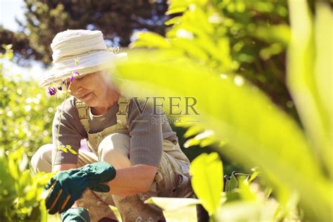 老妇人在花园里干活照片摄影图片_ID:100907899-Veer图库