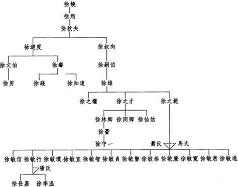 简单家族谱系图,怎么画,树状图(第2页)_大山谷图库