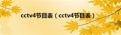 中国中央电视台中文国际频道 - 搜狗百科