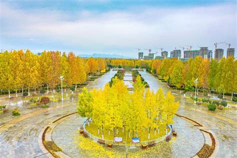 京城高中建设日新月异，2021年秋季投用|学术交流|图书馆|荥阳市_新浪新闻