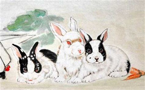属兔人的六合贵人是谁 -属兔-生肖网