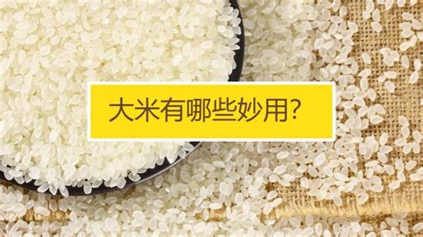 大米怎么选？怎样找到优质好吃的大米？最佳大米推荐 - 知乎