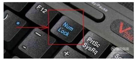 为什么电脑键盘右边的数字打不出来 - 软件教学 - 胖爪视 频