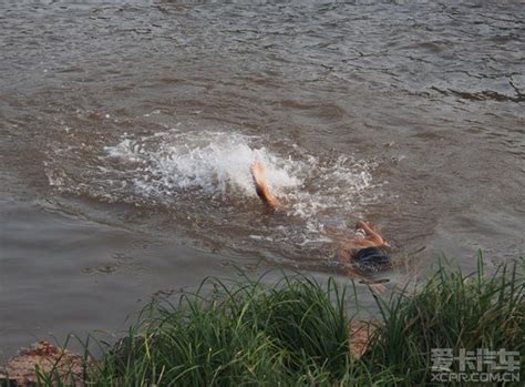 痛心！五少年下河游野泳 两人不幸溺亡 - 陕西网络广播电视台