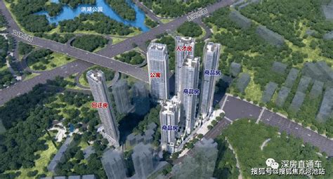 罗湖发布综合交通“十四五”规划 打造全市轨道路网密度最高城区_深圳新闻网