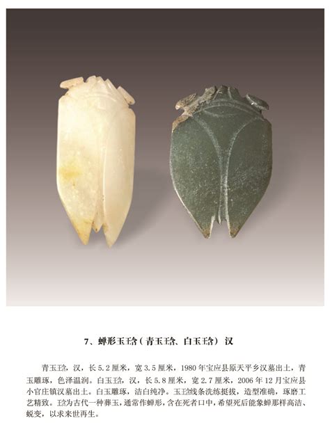 蝉形玉琀(青玉琀、白玉琀) - 玉石器类 - 宝应博物馆