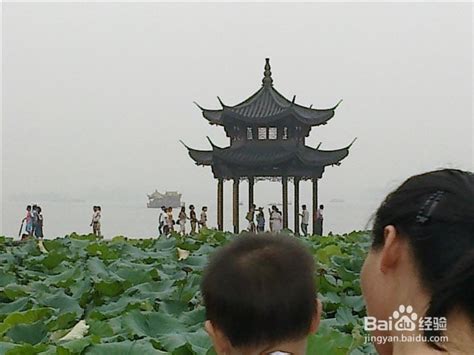 2023玉泉鱼跃游玩攻略,杭州玉泉鱼跃位于杭州植物园...【去哪儿攻略】