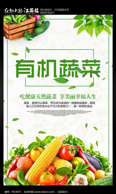 有机蔬菜海报 图片下载_红动中国