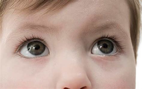 10种“最稀有”的眼球颜色！十分罕见，感觉有趣吗？|瞳孔|眼球|色素_新浪新闻