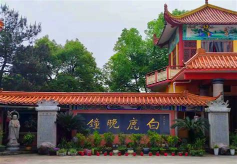 湖南益阳最西的县，面积居全省第三，是中国黑茶之乡