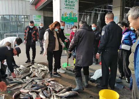 [网连中国]9地超市活鱼正常在售 石家庄、济南活鱼仍“不见踪影”--地方领导--人民网