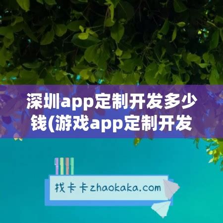 深圳app定制软件开发公司怎么选？-