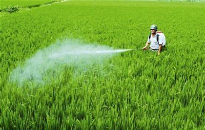 农业各领域权威专家汇总：水稻、小麦、玉米、种子、农药、化肥、农机……__凤凰网