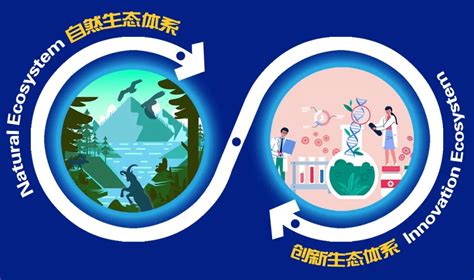 2020年1-2月北京怀柔区科技创新行业税收大幅增长 - 中科清研（北京）科学技术研究院官方网站