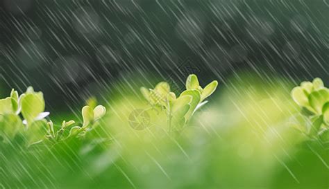 春雨的声音和样子的句子 - 业百科
