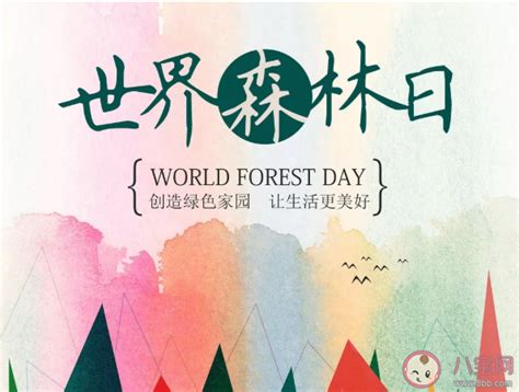 2021世界森林日主题是什么 世界森林日倡议书 _八宝网