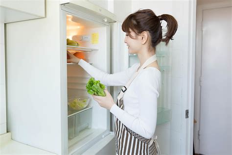 直冷冰箱和风冷冰箱的区别（风冷冰箱与直冷冰箱的优缺点辨析） – 碳资讯