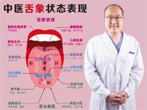 13.舌系带修整术-口腔颌面外科手术与手术技巧-医学