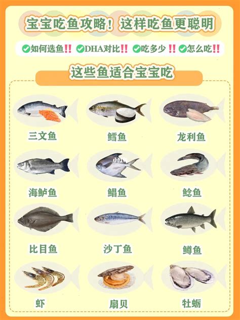 鱼的种类大全及名称 常见的鱼类有哪些 - 520常识网